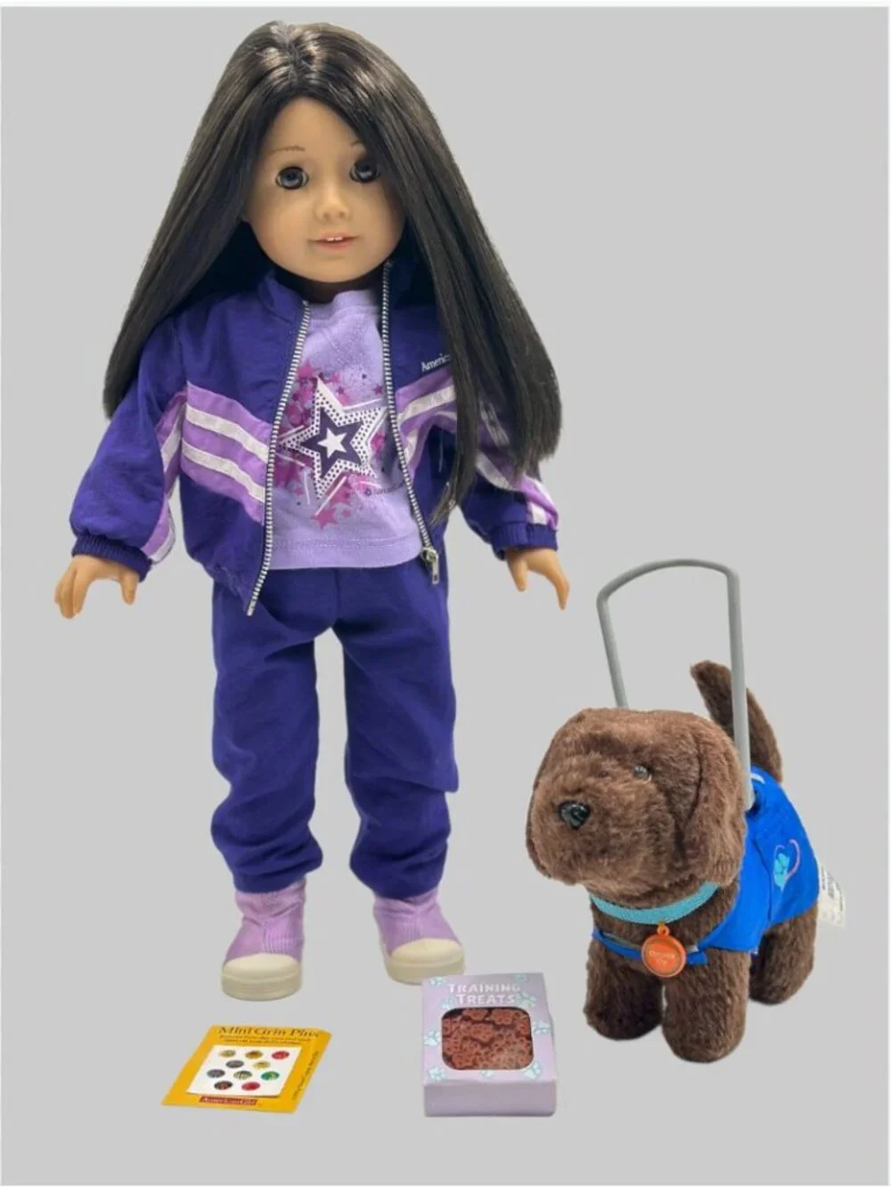 American Girl JLY #25 Doll Gorgeous Hair Outfit Chocolate Chip Dog Accessories